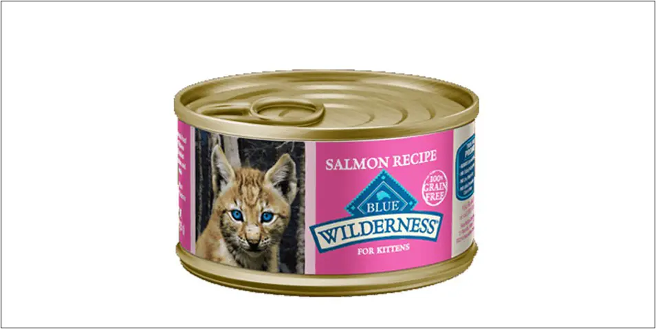 Blue-Wilderness-Kitten-Salmon-Recipe