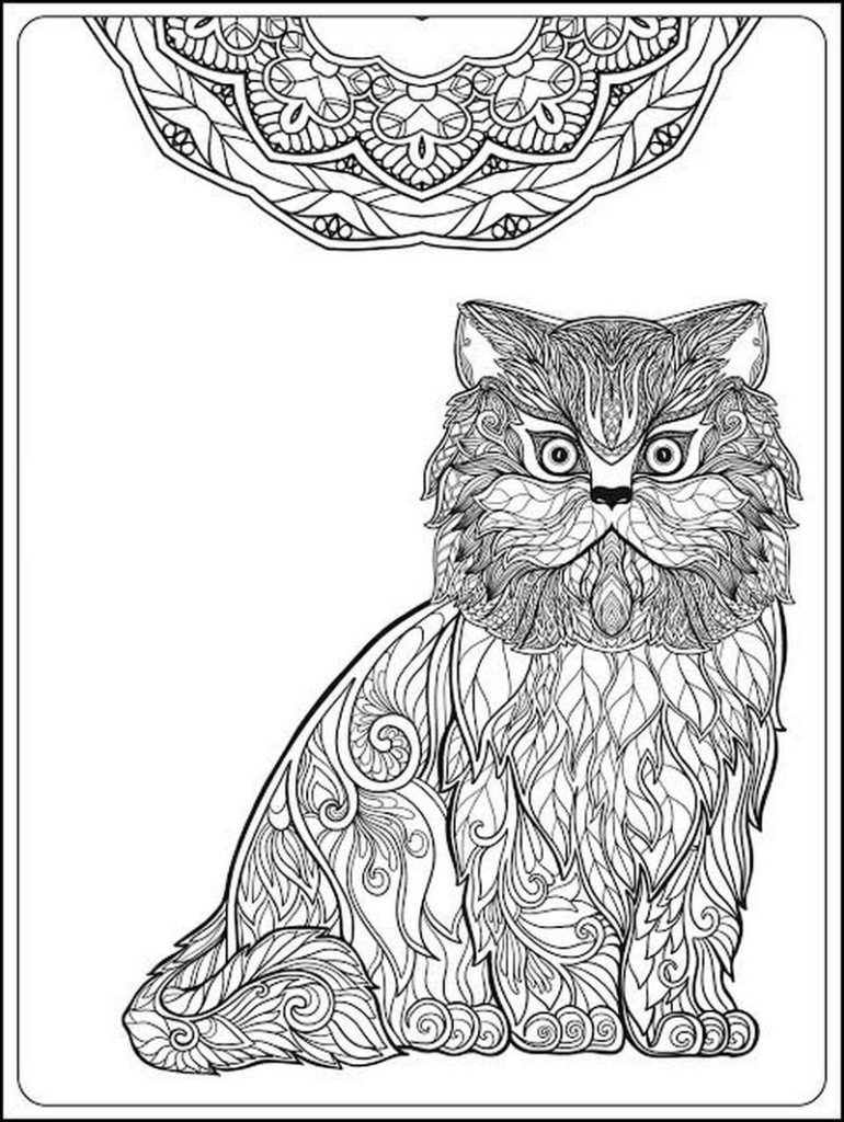 Gambar Kucing Persia Lucu dengan Ornamen Mandala
