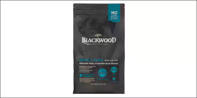 Blackwood Everyday Diet Adult Cat Food Chicken Meal Brown Rice Recipe
