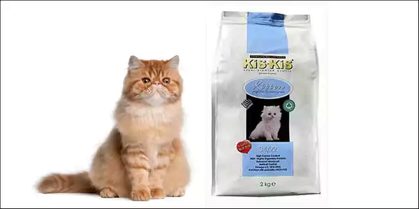 Rekomendasi makanan kucing menyusui Kis Kis Kitten