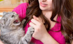 5 Alasan Kucing Takut Digendong dan Cara Mengatasinya
