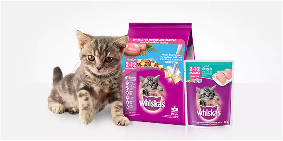 Apakah kucing kampung boleh makan Whiskas