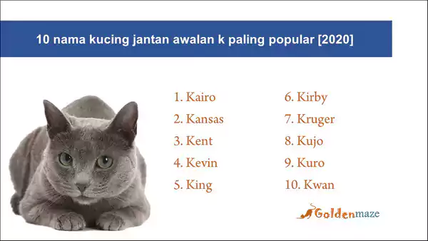 10 nama kucing jantan awalan k paling popular