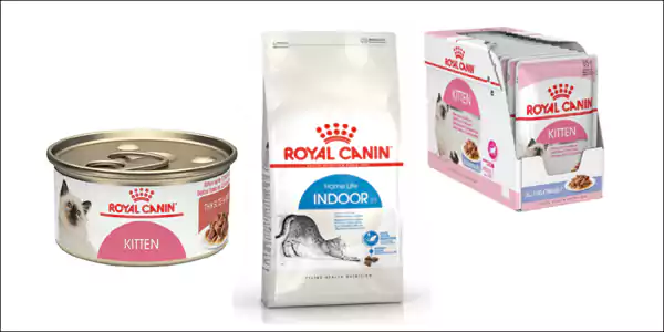 Makanan penggemuk kucing - Royal Canin