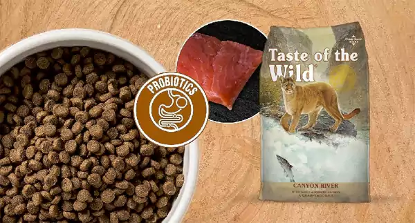 Makanan penggemuk kucing - Taste of The Wild