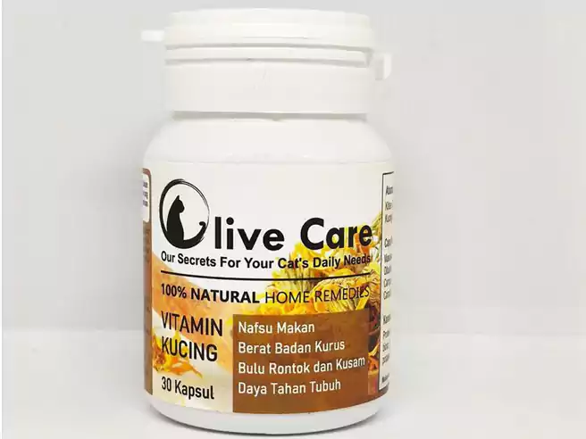 Rekomendasi vitamin kucing - olive care