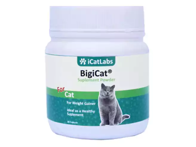 Rekomendasi Vitamin Kucing Icatlabs Bigicat