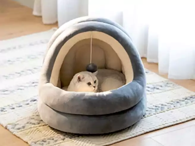 Rekomendasi Tempat Tidur Kucing Catandcat Cotton Bed